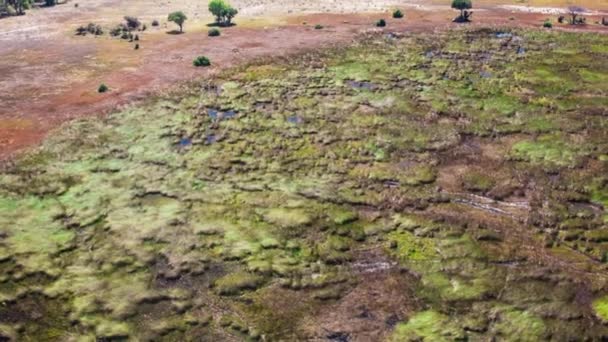 Luftaufnahme Des Okavango Deltas Botswana Afrika — Stockvideo