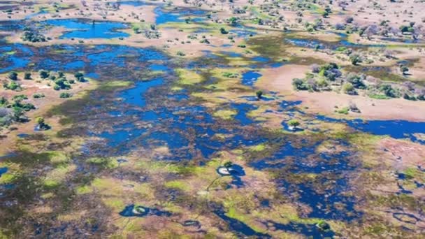 Vista Aérea Del Delta Del Okavango Botswana África — Vídeos de Stock