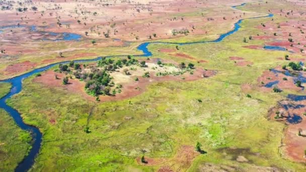 Vista Aérea Delta Okavango Botsuana África — Vídeo de Stock