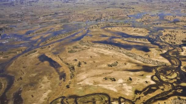 アフリカのボツワナにあるオカバンゴ デルタの航空写真 — ストック動画