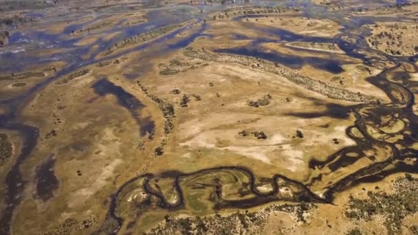 Vista Aérea Del Delta Del Okavango Botswana África — Vídeos de Stock