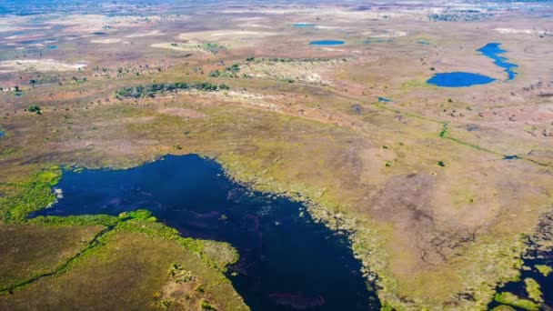 Letecký Pohled Deltu Okavango Botswaně Afrika — Stock video