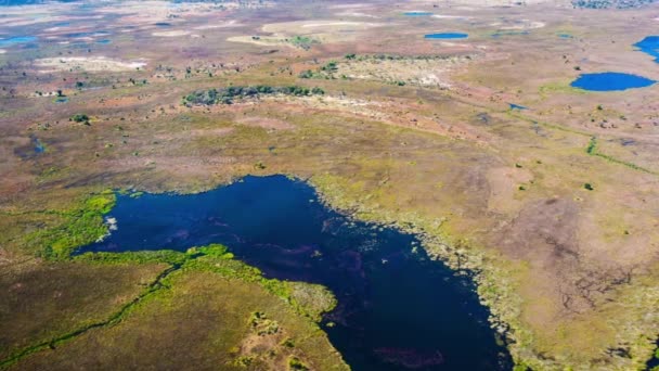 Aerial View Okavango Delta Botswana Africa — Stock Video