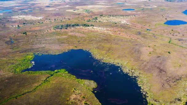 Luchtfoto Van Okavango Delta Botswana Afrika — Stockvideo