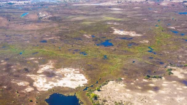 Flygfoto Över Okavango Delta Botswana Afrika — Stockvideo