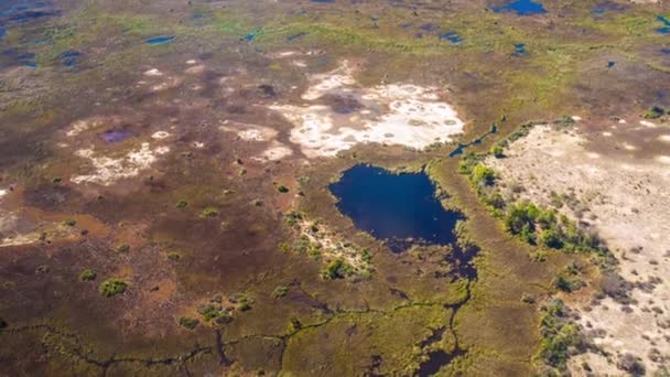 Flygfoto Över Okavango Delta Botswana Afrika — Stockvideo