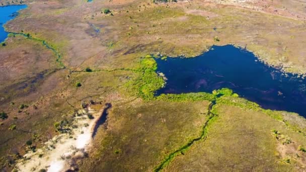 Letecký Pohled Deltu Okavango Botswaně Afrika — Stock video