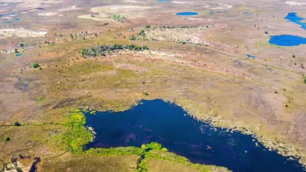 Widok Lotu Ptaka Deltę Okavango Botswanie Afryka — Wideo stockowe