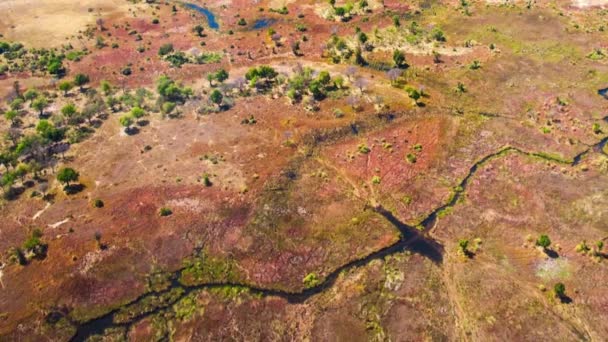 Vista Aérea Delta Okavango Botsuana África — Vídeo de Stock