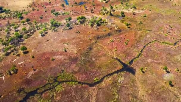 Légi Felvétel Okavango Deltáról Botswanában Afrikában — Stock videók