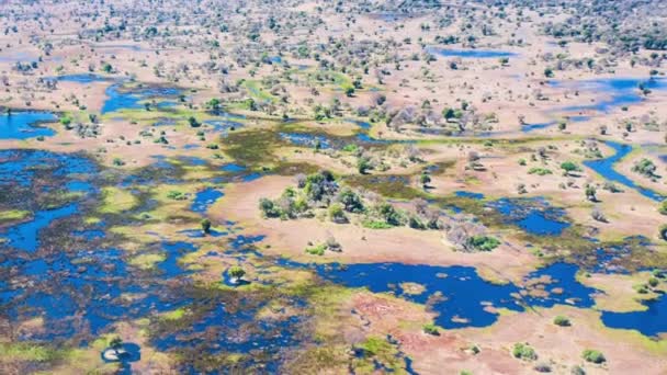 Aerial View Okavango Delta Botswana Africa — Stock Video