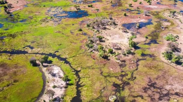 Aerial View Okavango Delta Botswana Africa — Stock Video