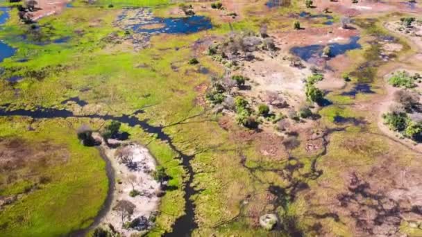 Flygfoto Över Okavango Delta Botswana Afrika — Stockvideo