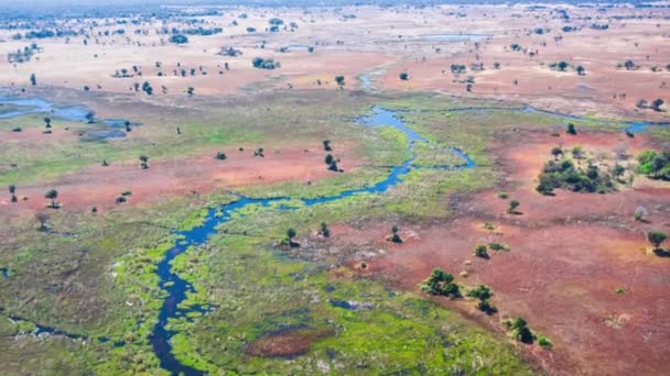 Vista Aérea Delta Okavango Botsuana África — Vídeo de Stock
