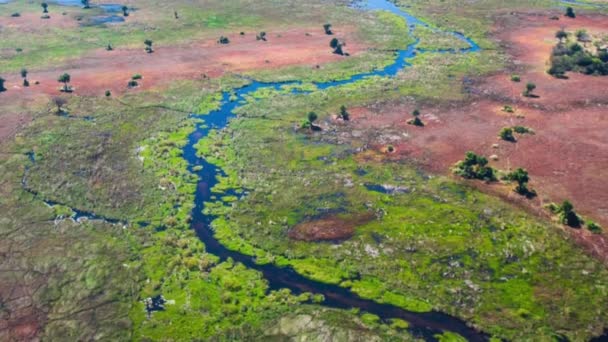 Luchtfoto Van Okavango Delta Botswana Afrika — Stockvideo