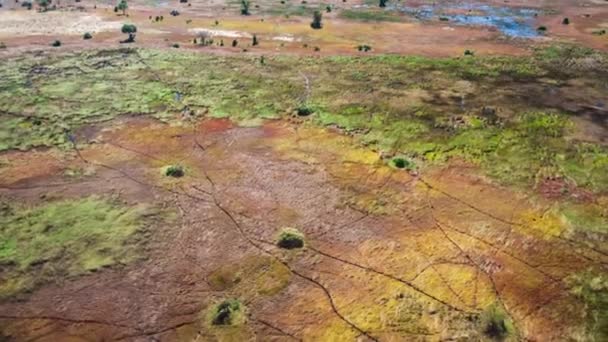 Letecký Pohled Deltu Okavango Botswaně Afrika — Stock video