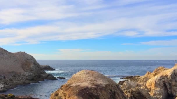 Pasifik Okyanusu Point Lobos Eyaleti Doğal Rezervi Kaliforniya Abd Point — Stok video