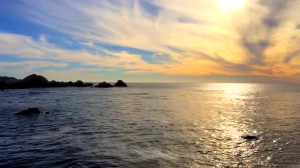 Тихий Океан Природном Заповеднике Штата Пойнт Лобос Калифорния Сша Охраняемые — стоковое видео