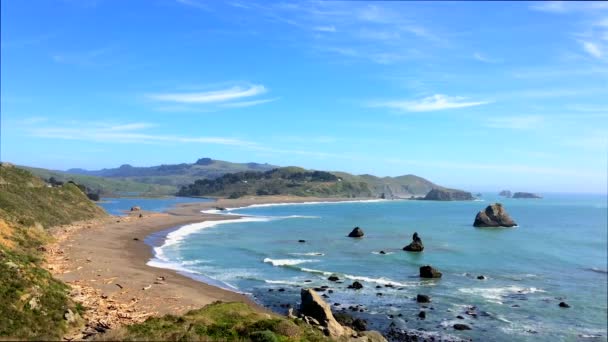 Ocean Spokojny Parku Stanowym Sonoma Coast Kalifornia Usa Jest Nieruchomość — Wideo stockowe