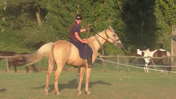Hortobagy Hongarije Aug Hongaarse Csikos Herders Grote Hongaarse Vlakte Augustus — Stockvideo