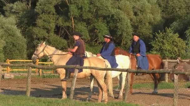 Hortobagy Hungary Aug Hungarian Csikos Herdmen Great Hungarian Plain 2015 — 비디오