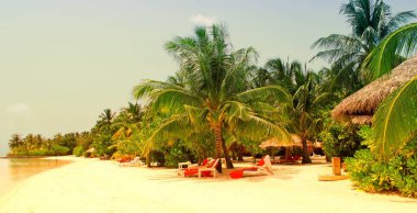 Güzel tropik cennet adası, Maldivler.