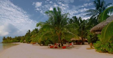 Güzel tropik cennet adası, Maldivler.