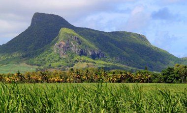 MAURITIUS, 14 HAZİRAN - Doğu Afrika 'daki Mauritius, Ülke' de muhteşem yeşil dağlar