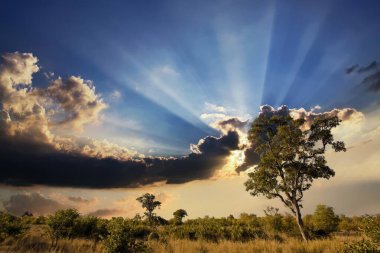 Kruger Ulusal Parkı, Güney Afrika 'da dramatik bulutlu Afrika manzarası