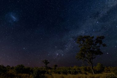 Yıldızlı ve samanyolu gece gökyüzü