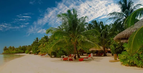 Hermosa Isla Del Paraíso Tropical Las Maldivas — Foto de Stock