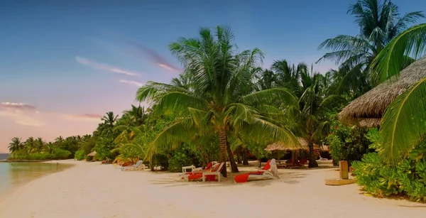 Hermosa Isla Del Paraíso Tropical Las Maldivas — Foto de Stock