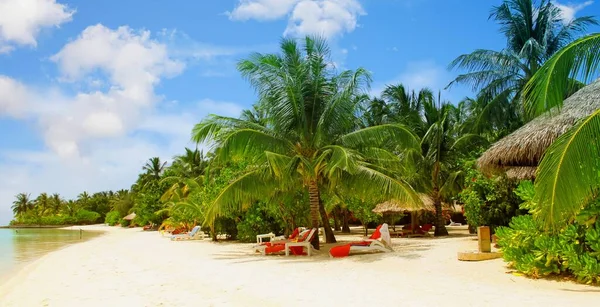 Hermosa Isla Del Paraíso Tropical Las Maldivas — Foto de Stock