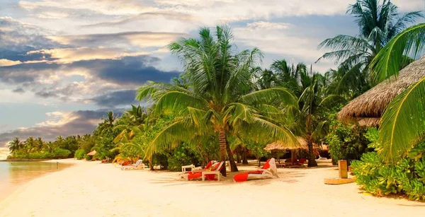 Beautiful tropical paradise island, the Maldives