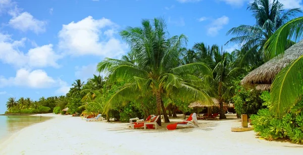 Hermosa Isla Del Paraíso Tropical Las Maldivas — Foto de Stock