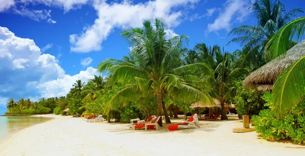 Hermosa Isla Del Paraíso Tropical Las Maldivas — Foto de Stock