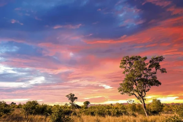African Landscape Dramatic Clouds Kruger National Park South Africa — Stock Photo, Image