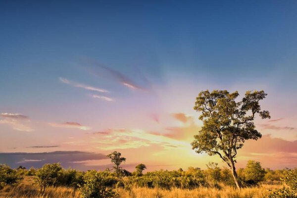 African landscape with dramatic clouds in Kruger National Park, South Africa