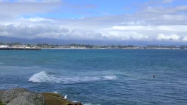 Santa Cruz 'da, Eğlence Noktası' nda, Santa Cruz County, Kaliforniya 'nın kuzeyinde, dünyaca ünlü bir sörf merkezi olan.