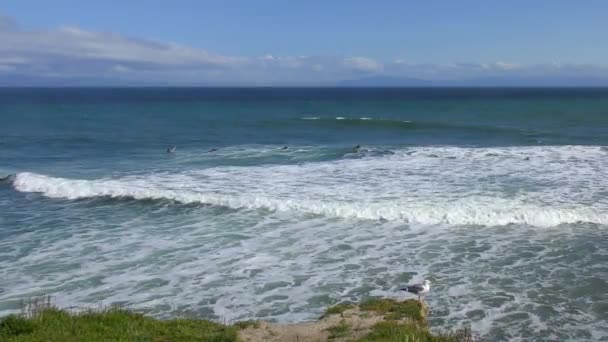 Oidentifierade Surfare Vid Santa Cruz Pleasure Point Norra Monterey Bay — Stockvideo