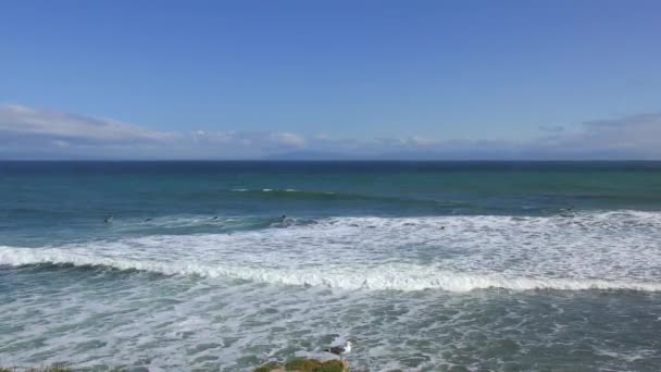 Αγνώστων Surfers Στο Santa Cruz Pleasure Point Στο Βόρειο Monterey — Αρχείο Βίντεο