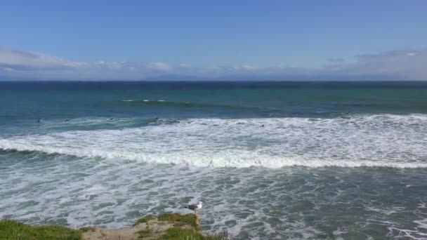 Oidentifierade Surfare Vid Santa Cruz Pleasure Point Norra Monterey Bay — Stockvideo