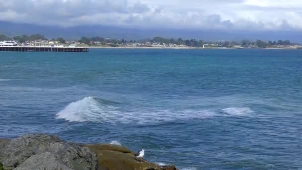Oceano Pacífico Half Moon Bay State Beach Condado Santa Cruz — Vídeo de Stock