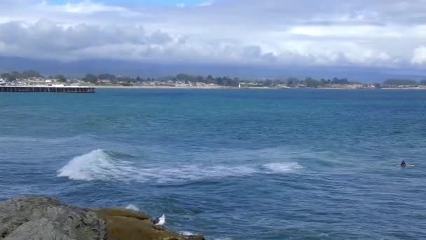 Surfistas Não Identificados Santa Cruz Pleasure Point Norte Monterey Bay — Vídeo de Stock