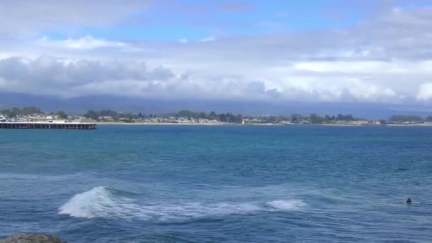 Unidentified Surfers Santa Cruz Pleasure Point Northern Monterey Bay Santa — Stock Video