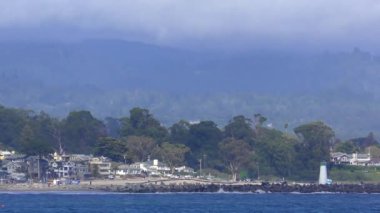 Pasifik Okyanusu Yarım Ay Körfezi Eyalet Plajı, Santa Cruz County, Kaliforniya, ABD, 2018