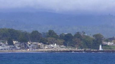 Pasifik Okyanusu Yarım Ay Körfezi Eyalet Plajı, Santa Cruz County, Kaliforniya, ABD, 2018