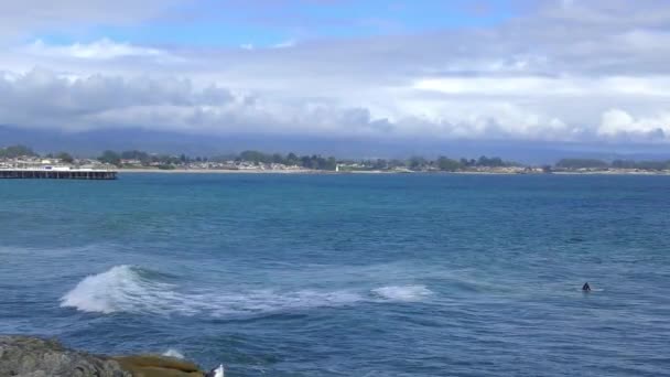 Oidentifierade Surfare Vid Santa Cruz Pleasure Point Norra Monterey Bay — Stockvideo