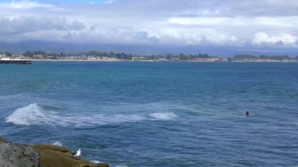 サンタクルスの未確認サーファー プレジャーポイント サンタクルス郡のモントレー湾北部 世界的に有名なサーフィンの場所 — ストック動画