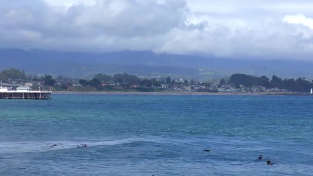 Surfisti Non Identificati Santa Cruz Pleasure Point Nella Monterey Bay — Video Stock